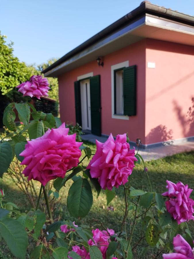 Villa La Casina Barga Esterno foto